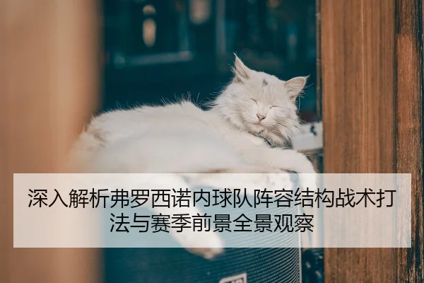深入解析弗罗西诺内球队阵容结构战术打法与赛季前景全景观察