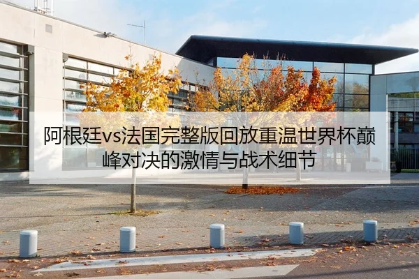 阿根廷vs法国完整版回放重温世界杯巅峰对决的激情与战术细节