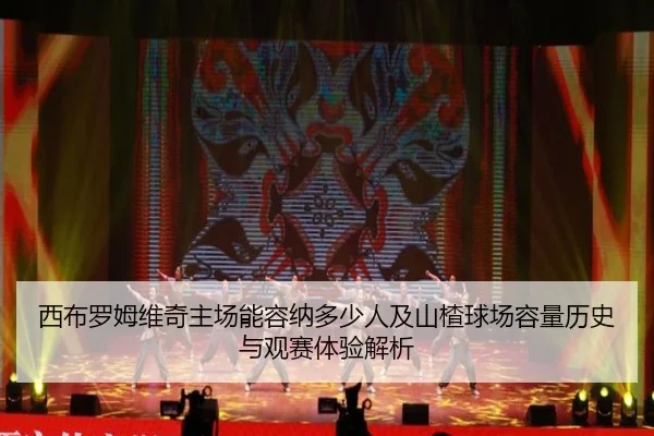 西布罗姆维奇主场能容纳多少人及山楂球场容量历史与观赛体验解析