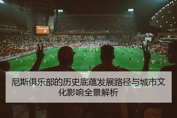 ni-si-ju-le-bu-de-li-shi-di-yun-fa-zhan-lu-jing-yu-cheng-shi-wen-hua-ying-xiang-quan-jing-jie-xi-2-993.jpg
