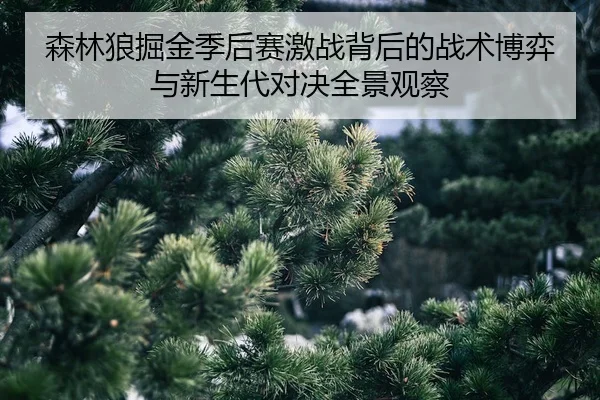 sen-lin-lang-jue-jin-ji-hou-sai-ji-zhan-bei-hou-de-zhan-shu-bo-yi-yu-xin-sheng-dai-dui-jue-quan-jing-guan-cha-2-161.jpg