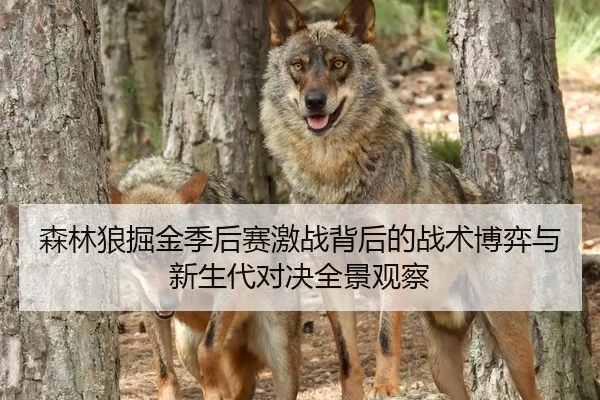 森林狼掘金季后赛激战背后的战术博弈与新生代对决全景观察